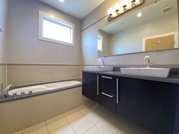 Spacious shower with whirlpool tub